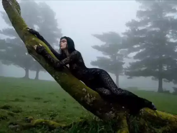 Loading the media file...