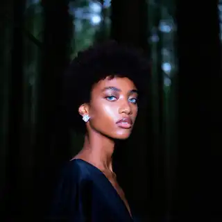 Loading the media file...