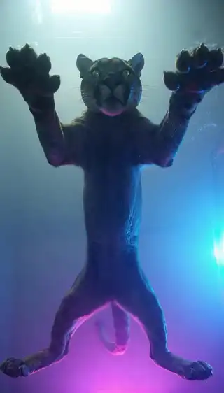 Loading the media file...