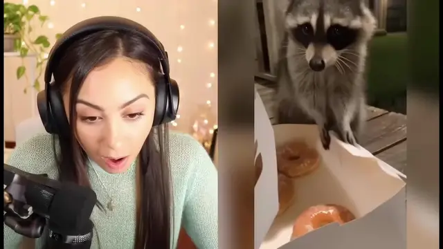 Loading the media file...