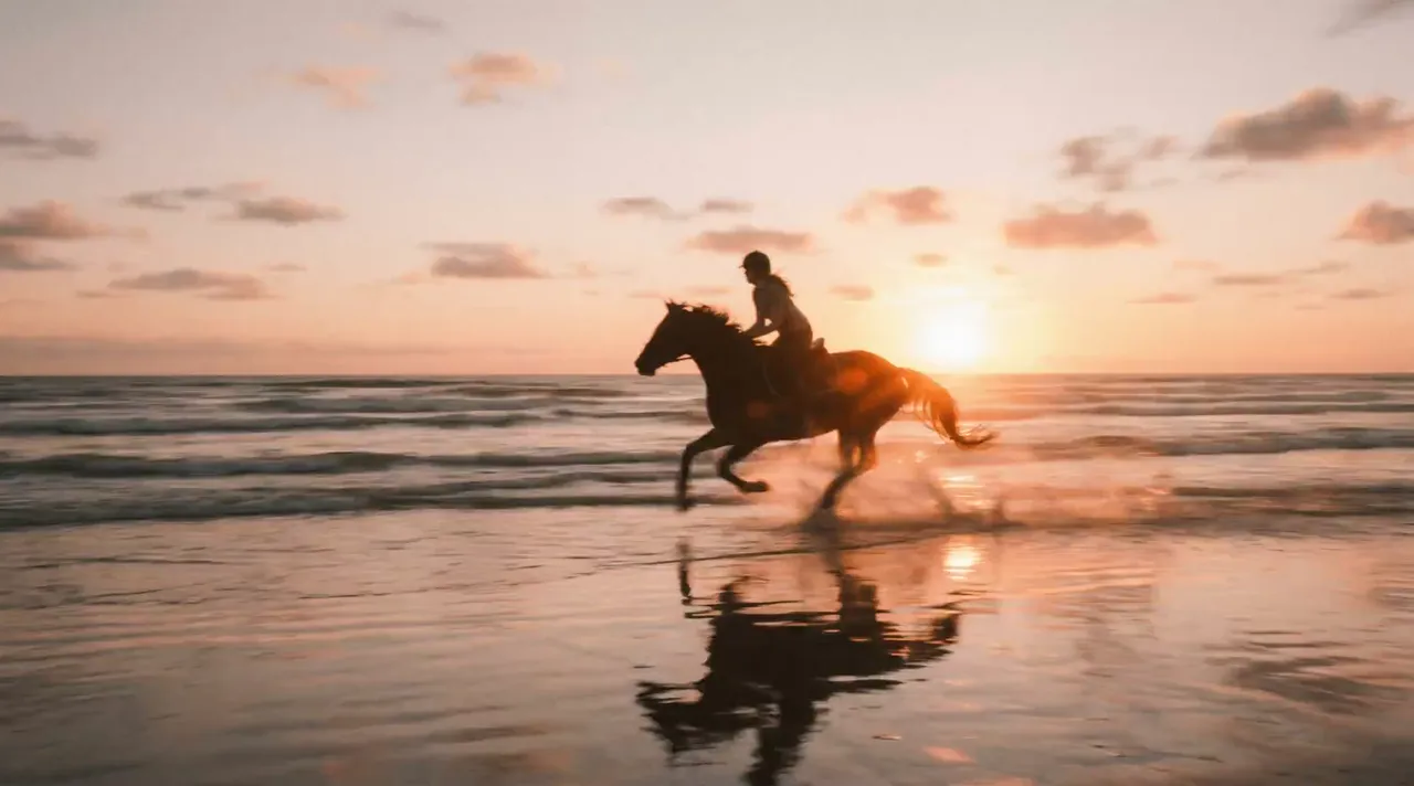 Loading the media file...